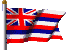 Flag Hawaii