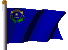 Flag Nevada
