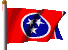 Flag Tennessee
