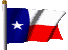 Flag Texas